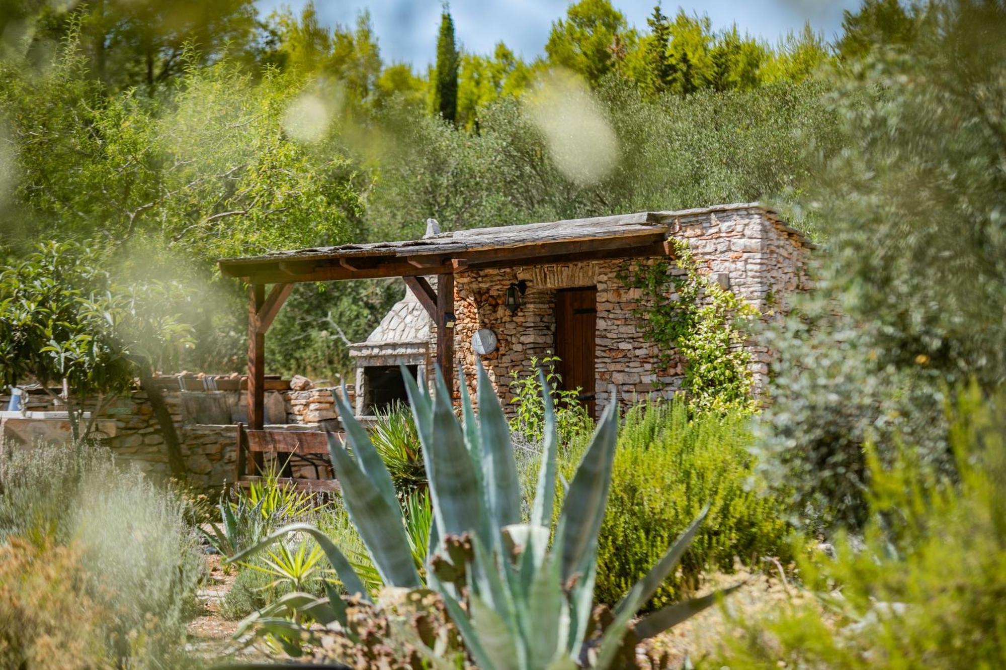 Villa Oxa Dreamland Stari Grad  Exteriér fotografie